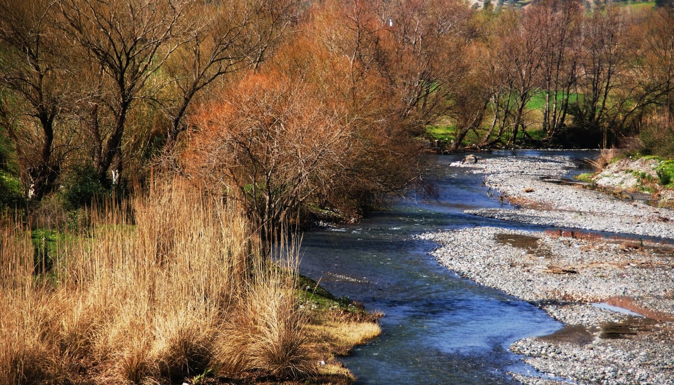 Spring Awakening Landscapes
