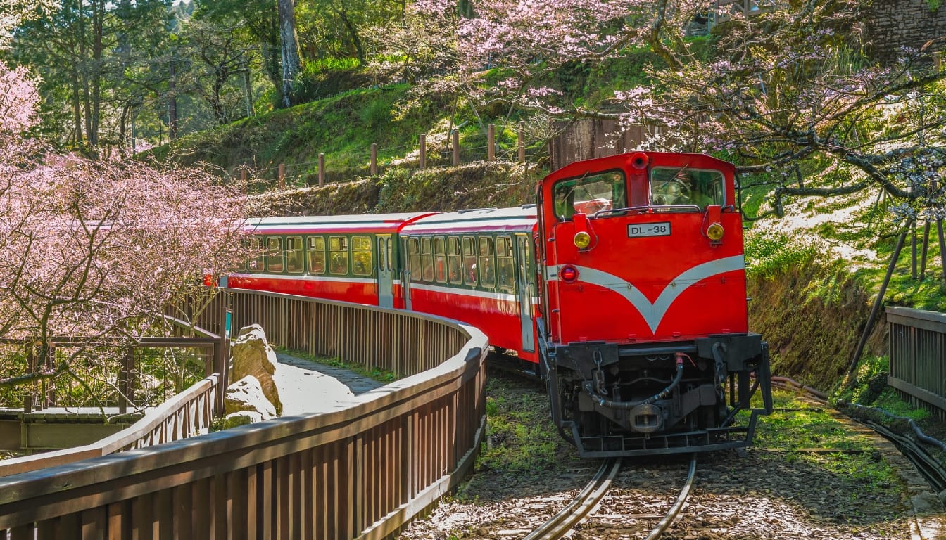 The Beauty of the Scottish Highlands