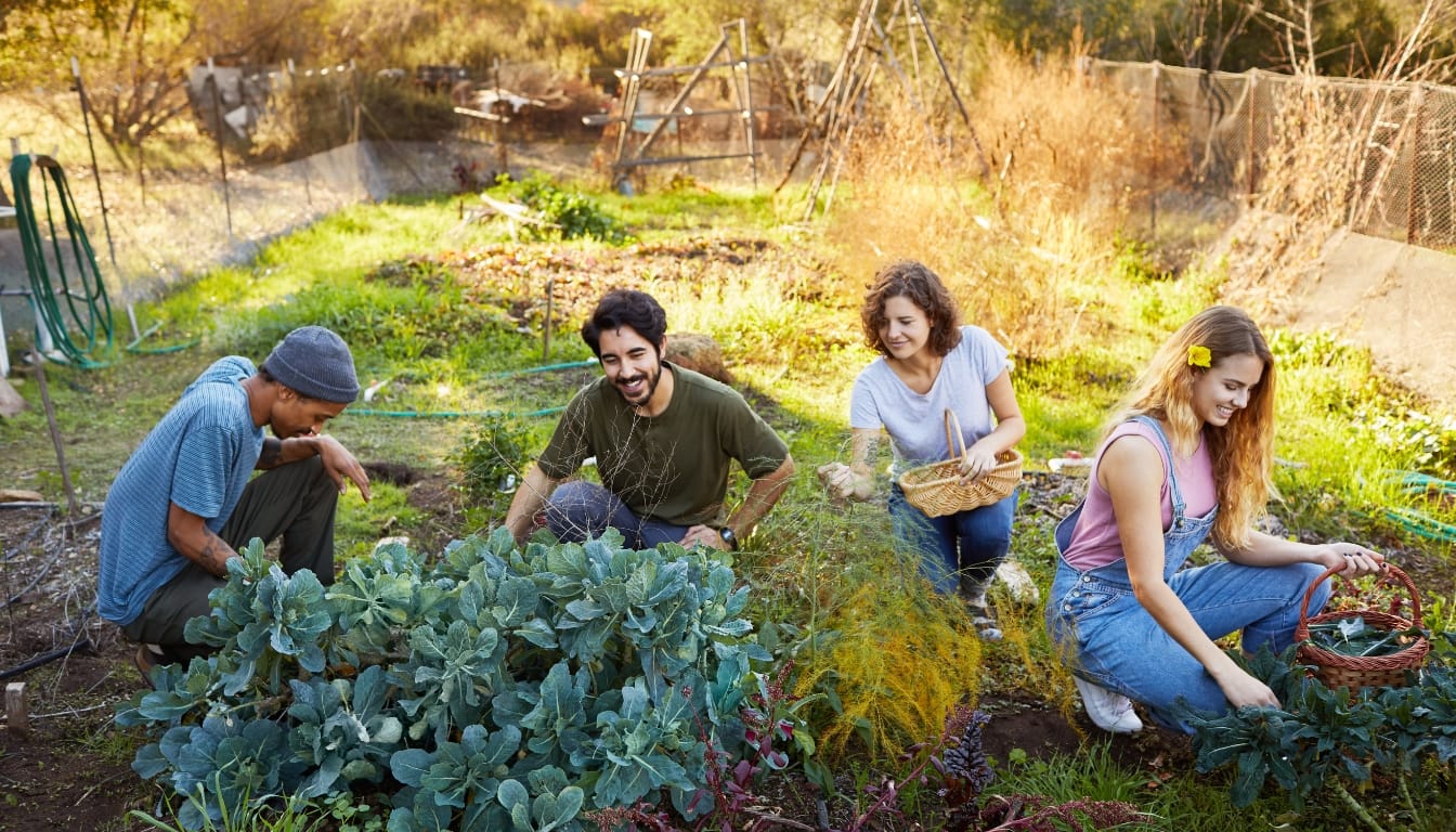 Community and Lifestyle in Norbury